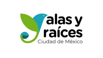 alas-y-raices-colaboraciones-las-tejedoras-proyectos-de-bolsillo